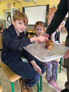 Uniwersytet Dziecięcy w Rząśniku - Zjazd IV