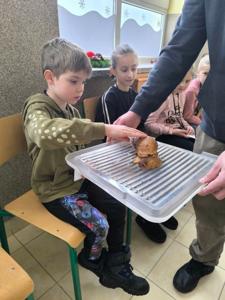 Uniwersytet Dziecięcy w Rząśniku - Zjazd IV