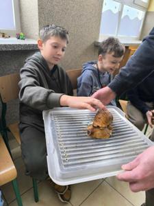 Uniwersytet Dziecięcy w Rząśniku - Zjazd IV