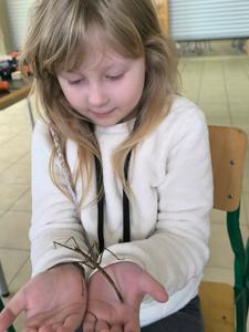 Uniwersytet Dziecięcy w Rząśniku - Zjazd IV