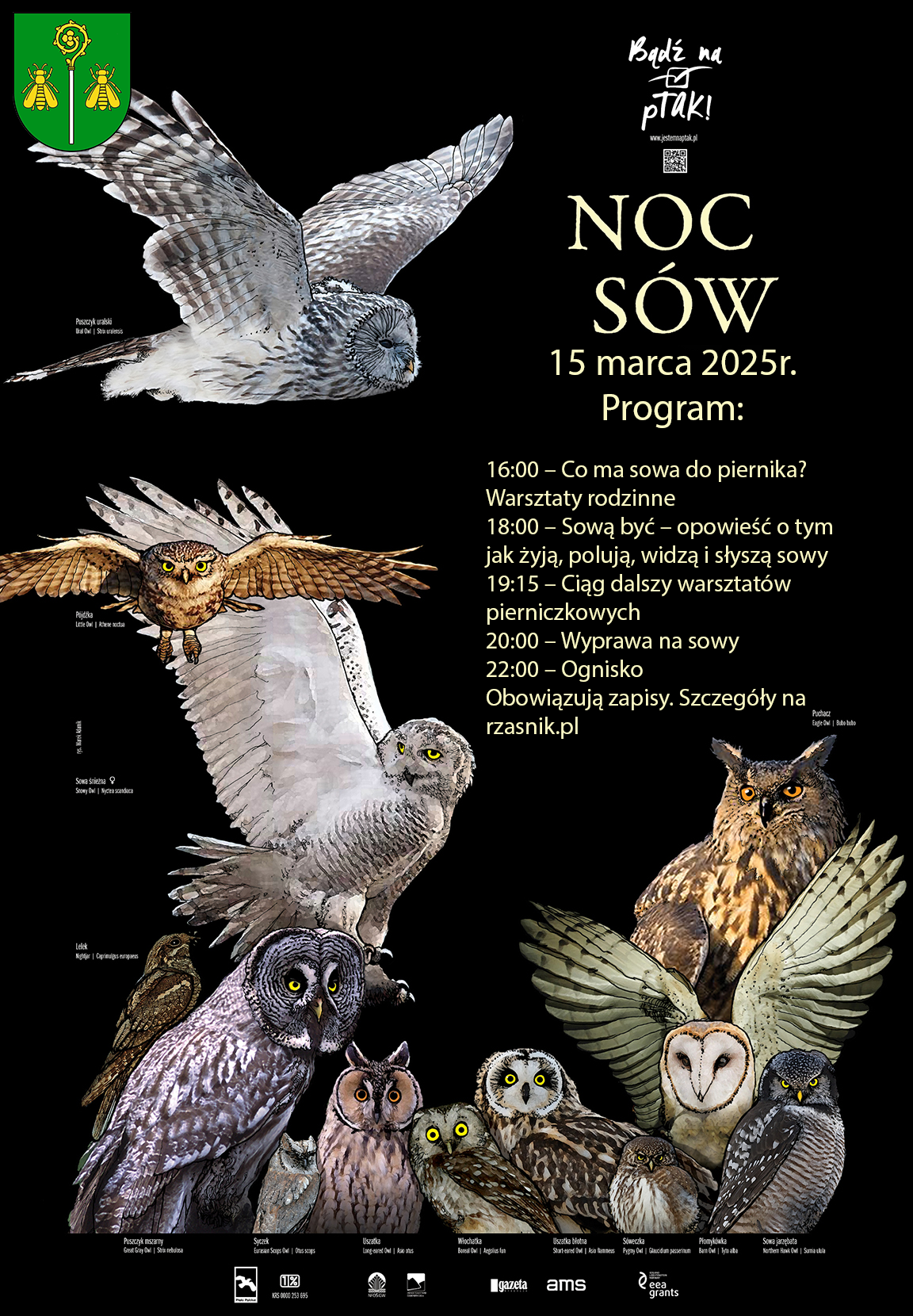 Noc sów