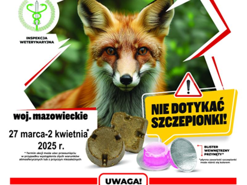 Szczepienie lisów przeciwko wściekliźnie