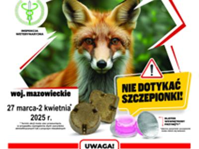 Szczepienie lisów przeciwko wściekliźnie