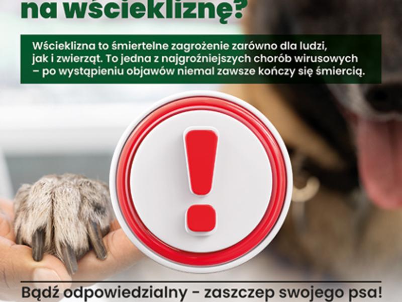 Pamiętaj o corocznym szczepieniu psów na wściekliznę!