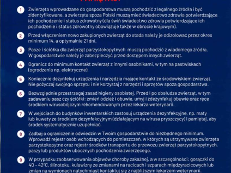 Plakat pryszczyca