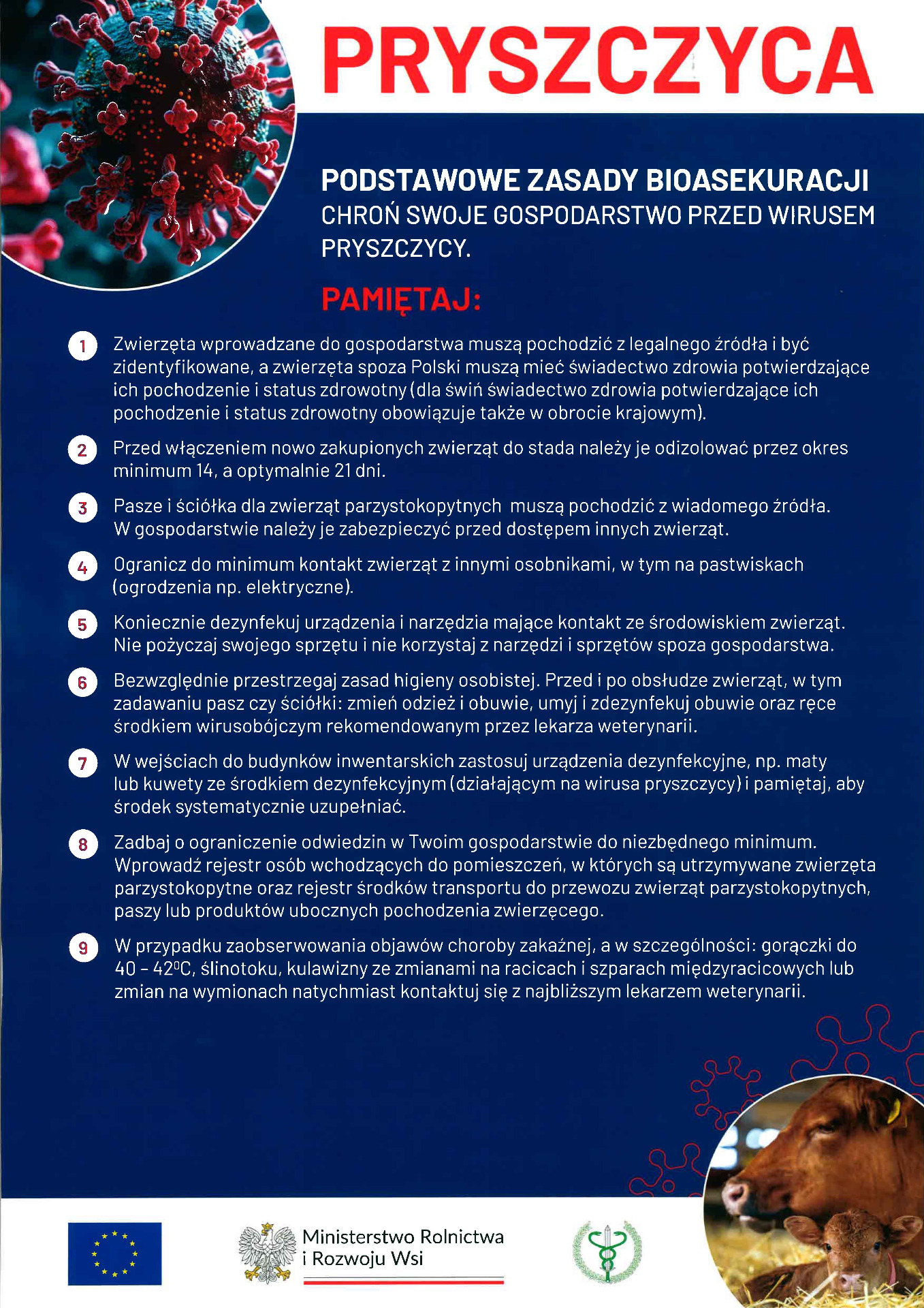 Plakat pryszczyca