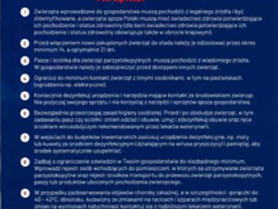 Plakat pryszczyca