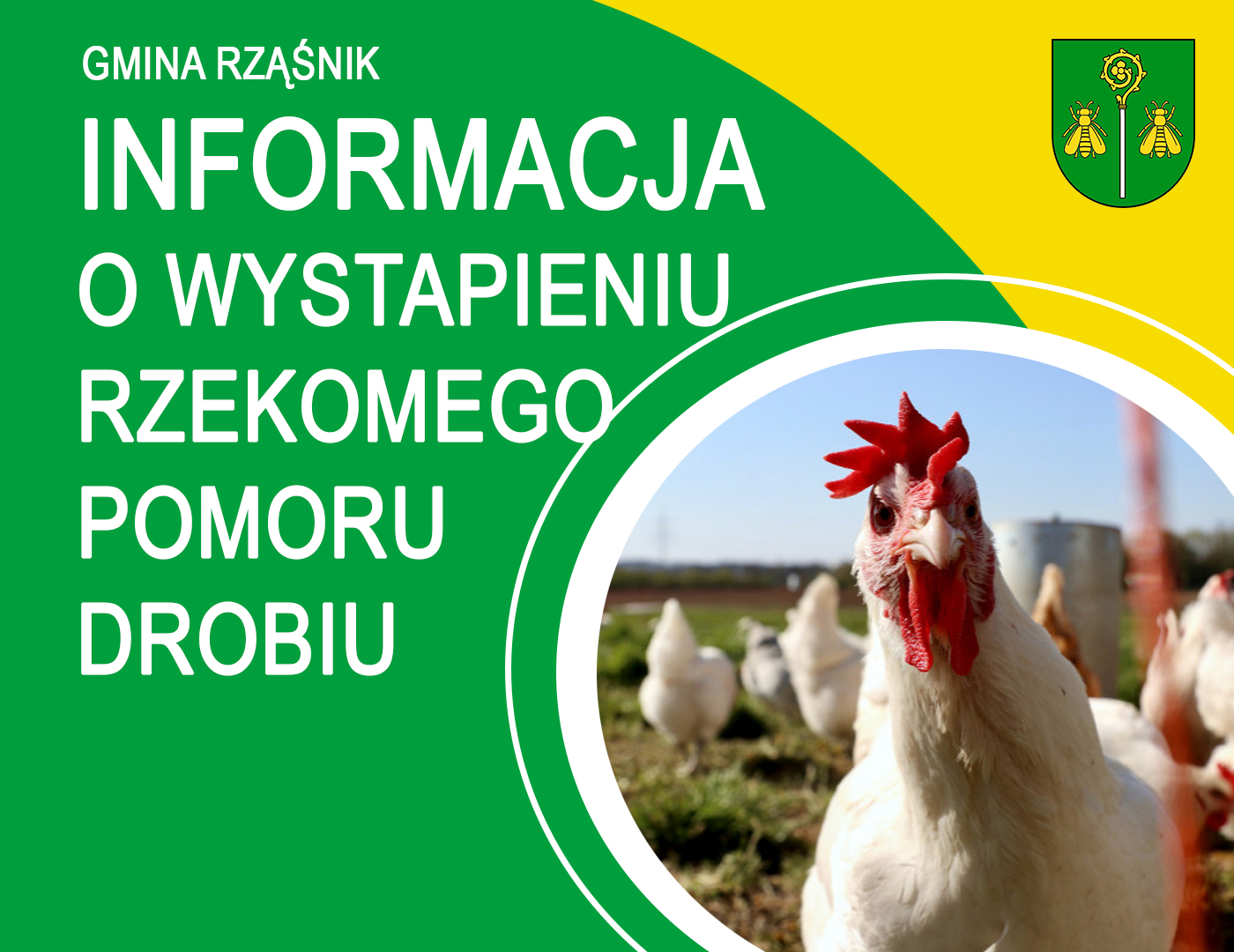 rzekomy pomur drobiu