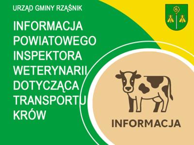 Info krowy