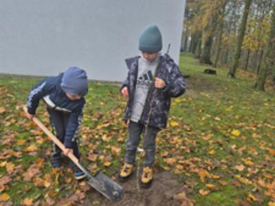 NAsadzenia w szkołach