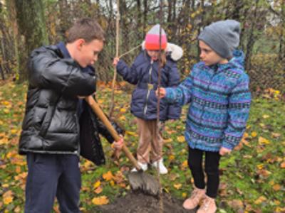 NAsadzenia w szkołach