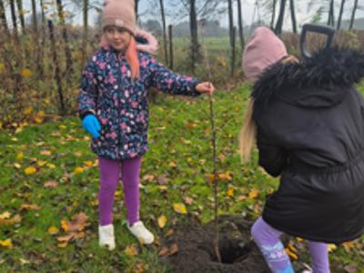 NAsadzenia w szkołach