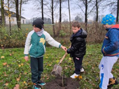 NAsadzenia w szkołach