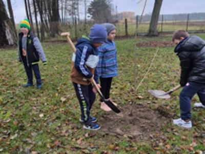 NAsadzenia w szkołach