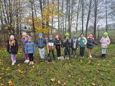 NAsadzenia w szkołach