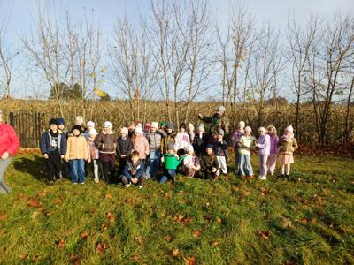 NAsadzenia w szkołach