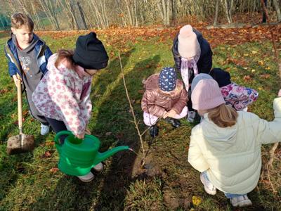 NAsadzenia w szkołach