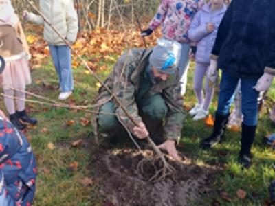 NAsadzenia w szkołach