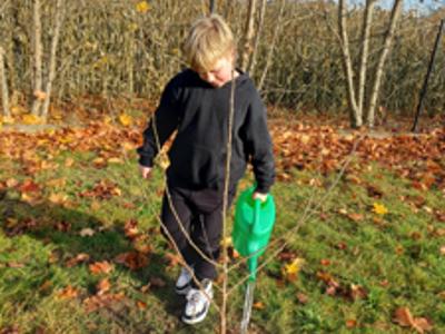 NAsadzenia w szkołach