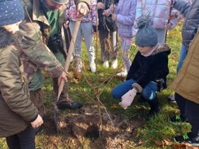 NAsadzenia w szkołach