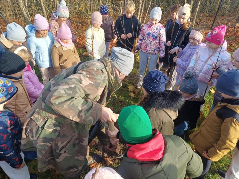 NAsadzenia w szkołach