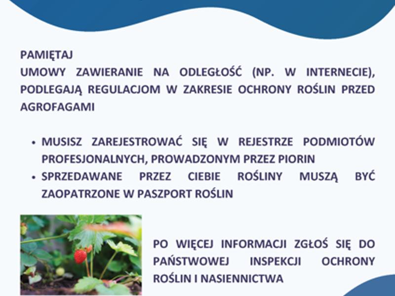 Sprzedaż roślin przez internet