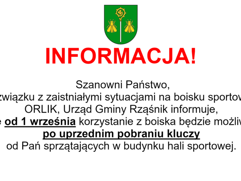 Boisko ORLIK