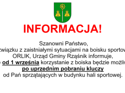 Boisko ORLIK