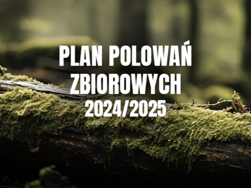 Plan polowań zbiorowych