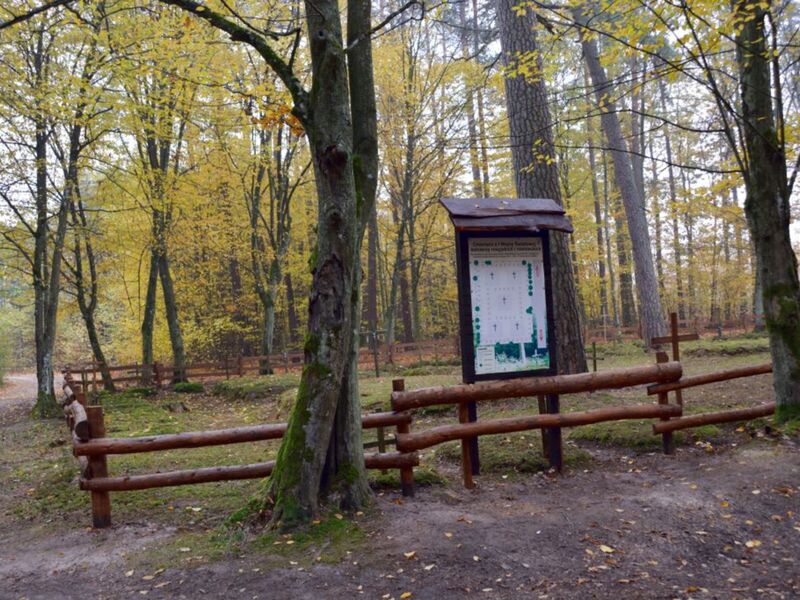 zdjęcie 1