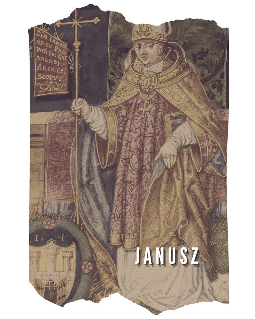 janusz.png [945x1181]