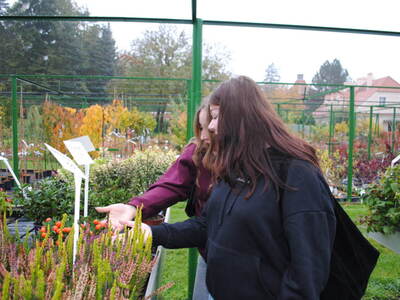 Uczestniczka podczas wyjazdu do Arboretum w Kórniku