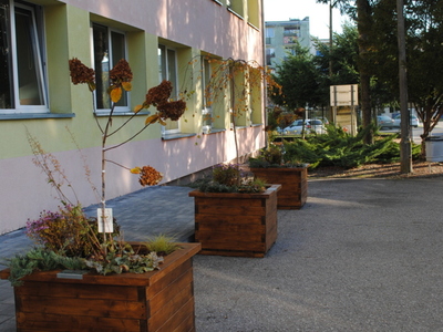 Zdjęcie przedstawia donice z roślinami przy wejściu do szkoły