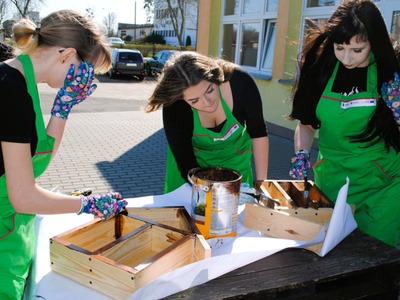 Uczennice malują domki dla owadów zapylających