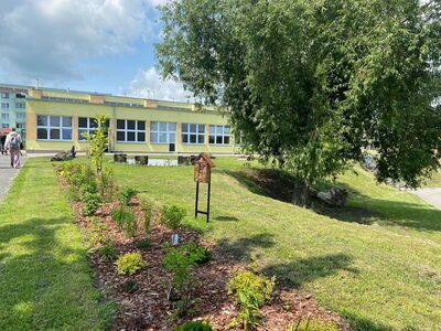 Zdjęcie prezentuje teren zagospodarowany przez uczniów podczas zajęć z ogrodnictwa