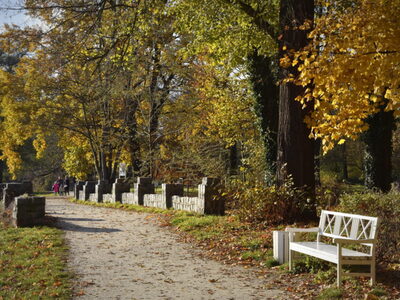 Park pałacowy w Żaganiu
