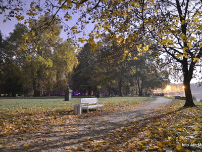 Park pałacowy w Żaganiu
