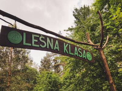 ŚCIEŻKA DYDAKTYCZNA NA KRUKU