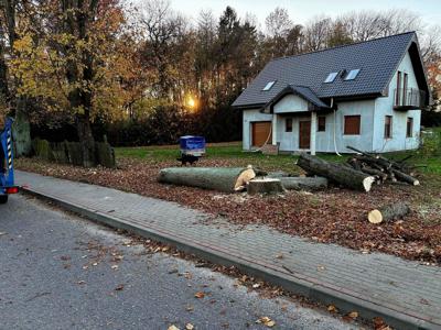 Usuwanie drzew stwarzających zagrożenie przy drogach i posesjach na terenie Powiatu Sulęcińskiego