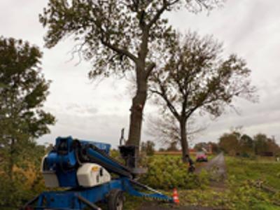 Usuwanie drzew stwarzających zagrożenie przy drogach i posesjach na terenie Powiatu Sulęcińskiego