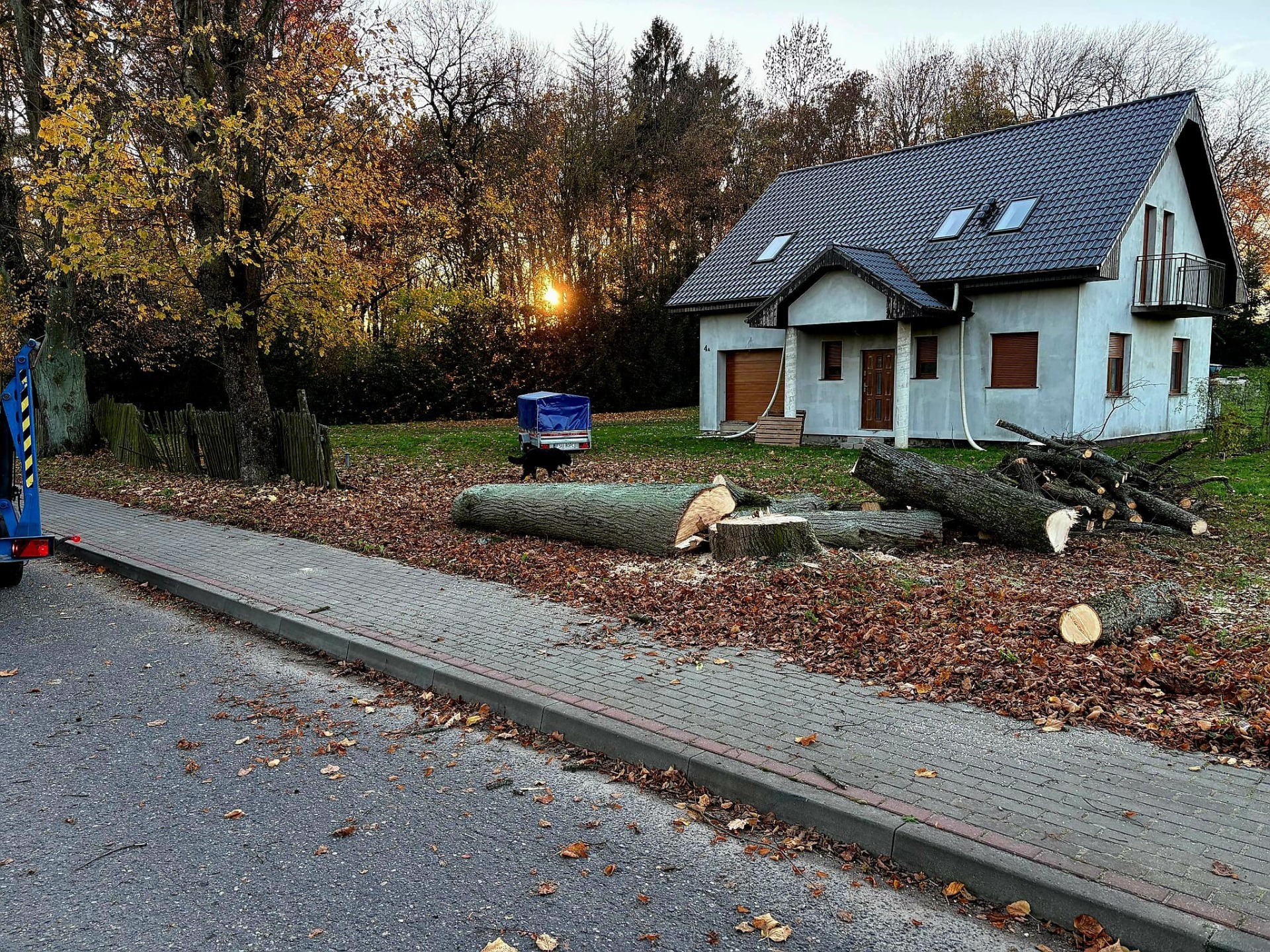 Usuwanie drzew stwarzających zagrożenie przy drogach i posesjach na terenie Powiatu Sulęcińskiego