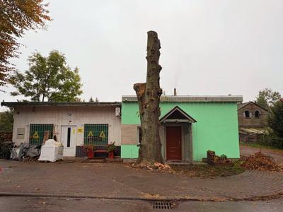 Usuwanie drzew stwarzających zagrożenie przy drogach i posesjach na terenie Powiatu Sulęcińskiego