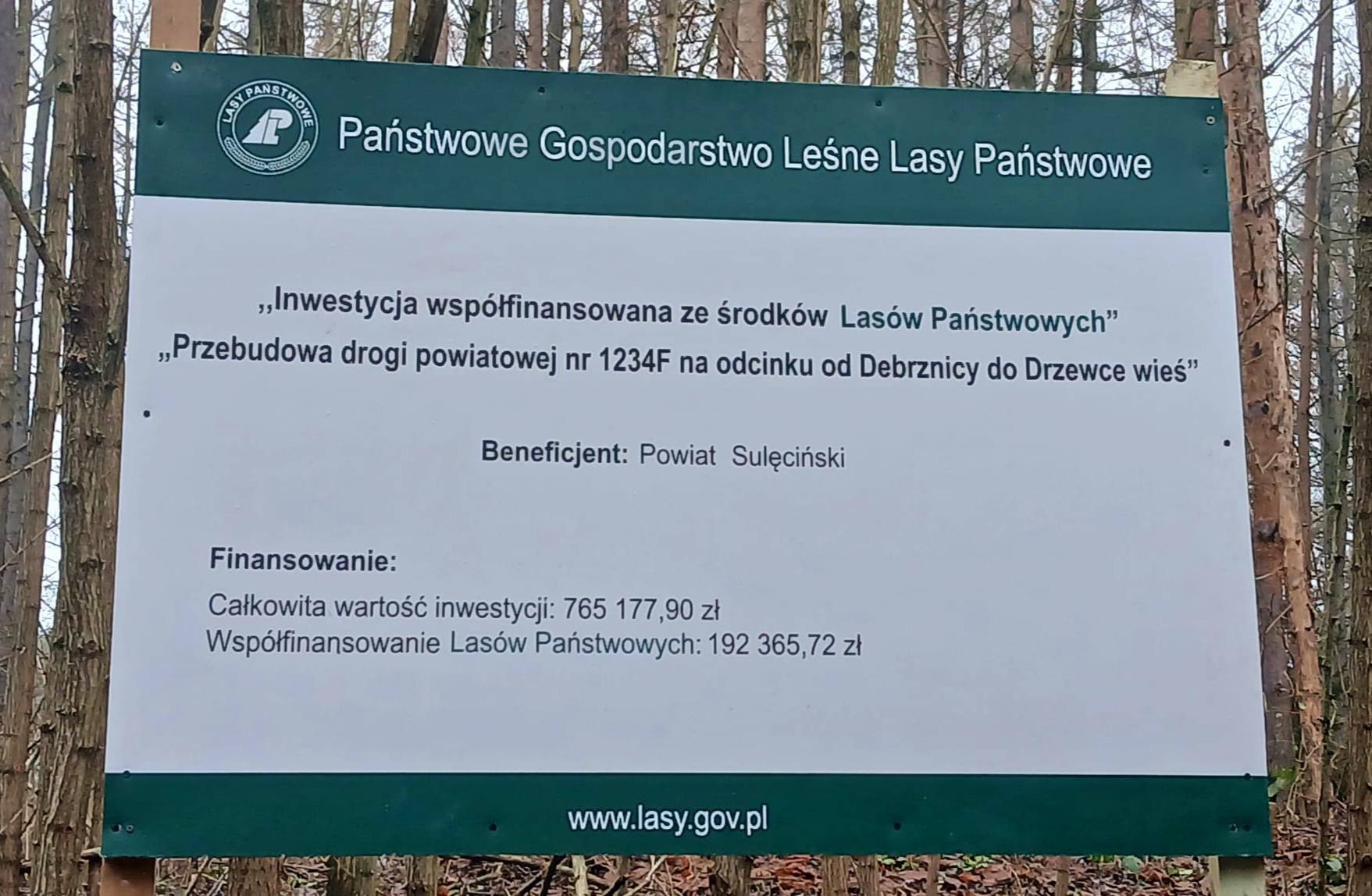 Przebudowa drogi powiatowej od Debrznicy do Drzewce wieś