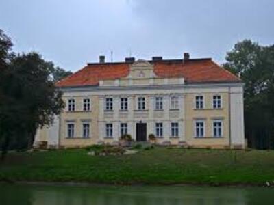 gm. Gostyń - Pałac w Goli