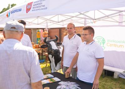 Stoisko - warsztaty - Urząd Marszałkowski