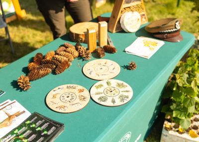 Stoisko Nadleśnictwo Piaski