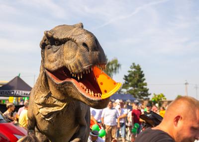 Na zdjęciu widać Dinozaura Rexa w tle mieszkańców