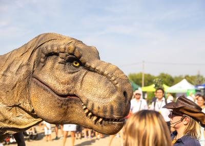 Na zdjęciu widać Dinozaura Rexa w tle mieszkańców
