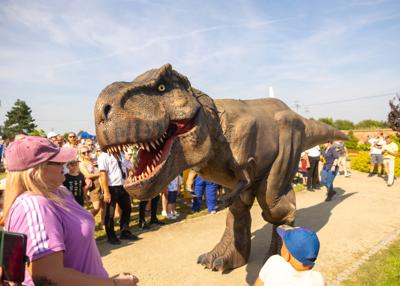 Na zdjęciu widać Dinozaura Rexa w tle mieszkańców