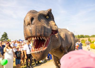 Na zdjęciu widać Dinozaura Rexa w tle mieszkańców